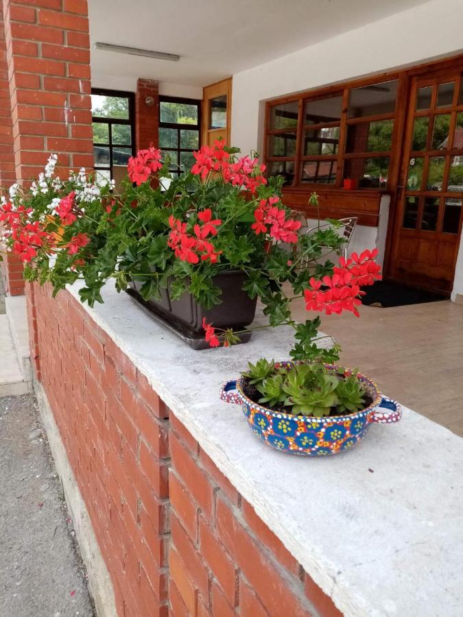 Apartman Dunja i Miloš Mokra Gora Bagian luar foto