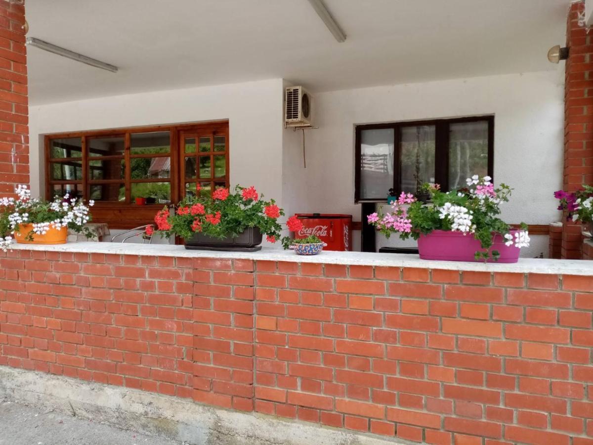 Apartman Dunja i Miloš Mokra Gora Bagian luar foto