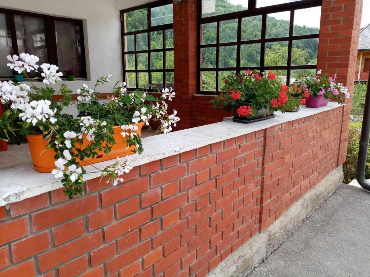 Apartman Dunja i Miloš Mokra Gora Bagian luar foto