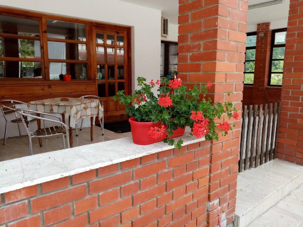 Apartman Dunja i Miloš Mokra Gora Bagian luar foto